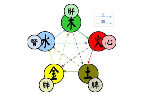 5行 木|五行（对万事万物的取象比类）